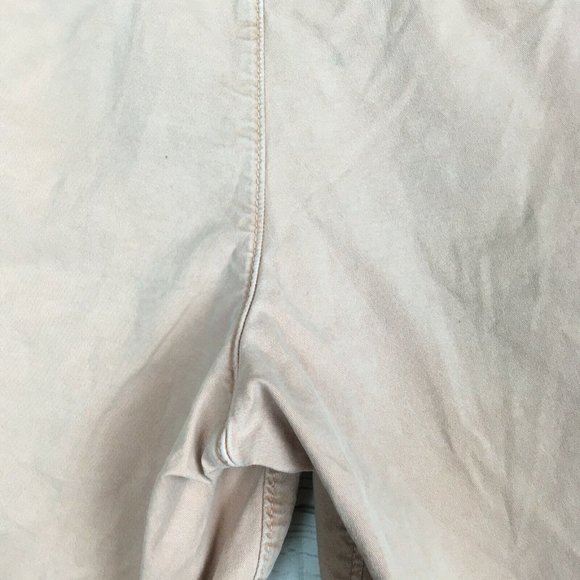 American Eagle Mens Shorts 29 AE Pale Pink Dusty Faded Next Level Flex Stretch - Picture 11 of 12